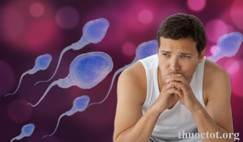 Motil cải thiện tinh trùng hiệu quả cho nam giới vô sinh
