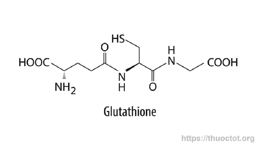 Công thức hóa học của e glutathione 
