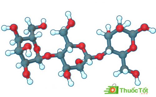 Beta glucan