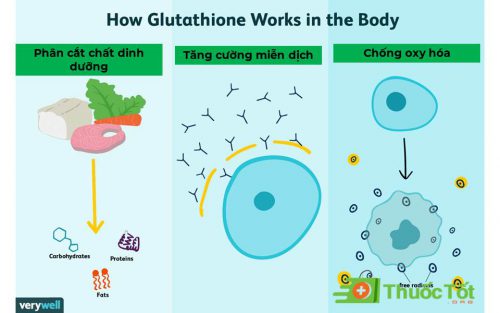 glutathion beglutan