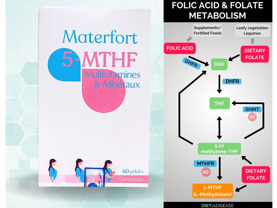 Thành phần Materfort 5-MTHF 