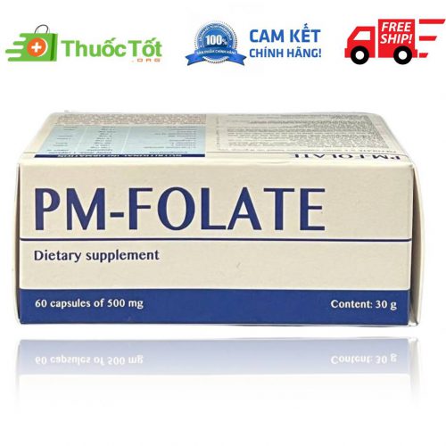 Pm-Folate Ý